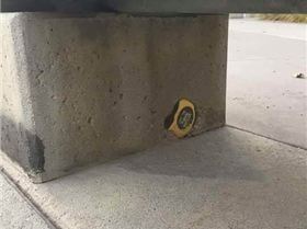 50119425 2227828690613172 5830723197321871360 n