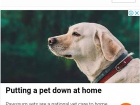 Screenshot 20190128-140121