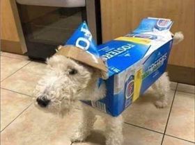 51679645 2183261885115289 1897530930923307008 n