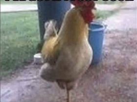 FB IMG 1549507472642