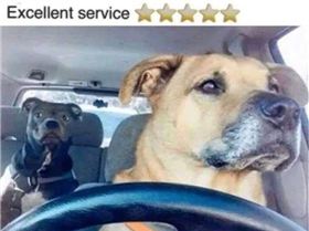 FB IMG 1549841946790