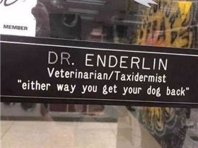 vet taxi