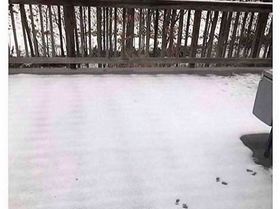 FB IMG 1550383586238