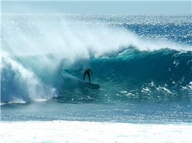 Stand around in a cool shady place for a while. (not me btw)