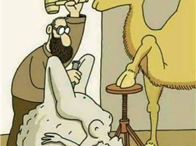 FB IMG 1553555256279