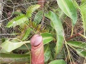 FB IMG 1553777255677