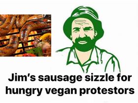 56795611 389525538299061 4639974876357066752 n