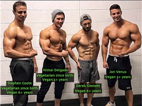 Screen Shot 2019-04-14 at 8.33.33 am