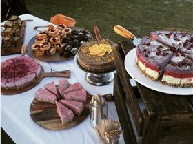 Screen Shot 2019-04-15 at 9.50.42 am