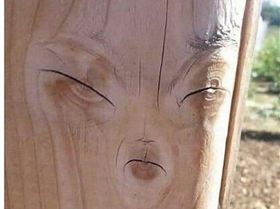 FB IMG 1555387885995