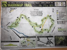 Marrinup MTB trail