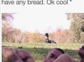 Screen Shot 2019-05-06 at 7.00.47 pm