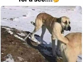 FB IMG 1558011478489