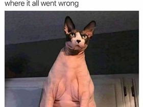 FB IMG 1558321101945