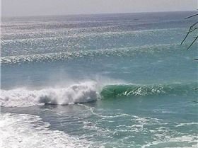 FB IMG 1552288281631