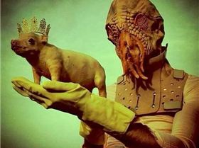 61057954 203855100578495 4802072465436049408 n