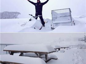 Screen Shot 2019-05-28 at 1.36.49 pm