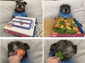 FB IMG 1562046837524