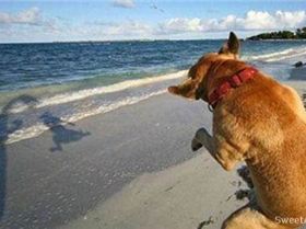 funny picture joke pictures taken at right time 07