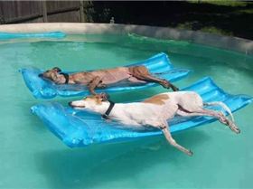 daily picdump 3202 640 16