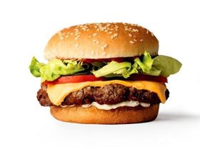 11378500-3x2-700x467