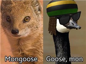 FB IMG 1568360113254