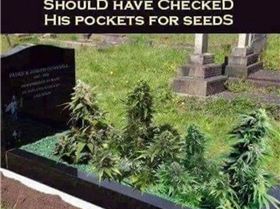 69690236 10156209404696682 3696044912710516736 n