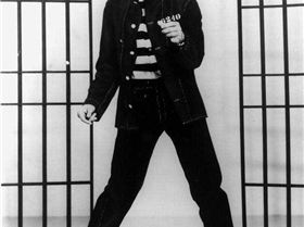 stewie mystery solved