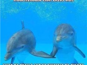 FB IMG 1569326636597