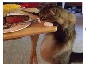 FB IMG 1569829309984