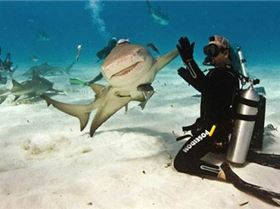 991006352a205e638c007b15739b4ef1