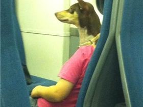 aeb73e0c83d57948327738835494bd71