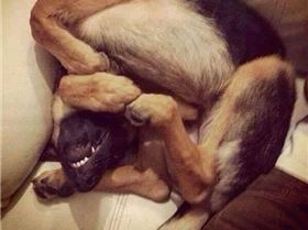 FB IMG 1574078192320