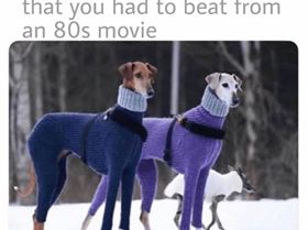 FB IMG 1574675498937