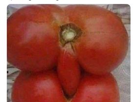 78946814 2754556881319117 278445671852277760 n