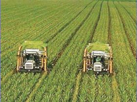 ghrtynrtynertynetyne