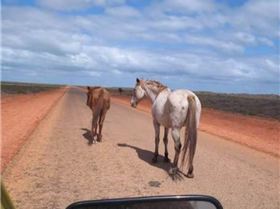 Screenshot 2019-12-18-00-28-31-1