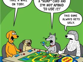 79453065 1032012637142152 4824373073803214848 o