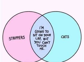 FB IMG 1579418730424