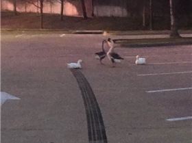 FB IMG 1581150776248