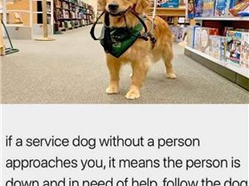 FB IMG 1581619205355