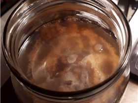 Kombucha 2