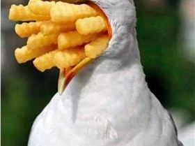 Screenshot 2020-06-07 at 17.41.53