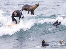 16e9da44c5e483eade4944152997b28f