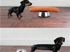 10725244930827698818123008292104865158401776n