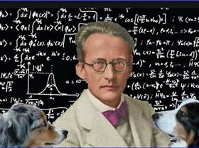 ghegthrewtyrewtynrytr