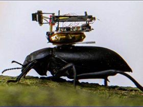 tu,iyui,ty,uityi,yi,