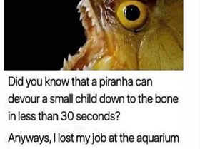 Screenshot 2020-07-31 at 17.18.17