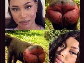 Screenshot 2020-08-01 at 15.12.08