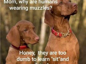 77c0b5c204bcd4e272048d5f92ef214d